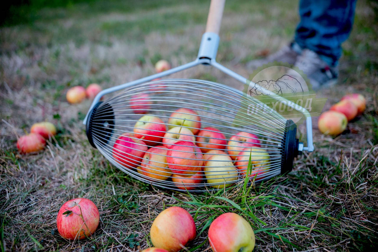 

Ролл-плодосборник для сбора яблок