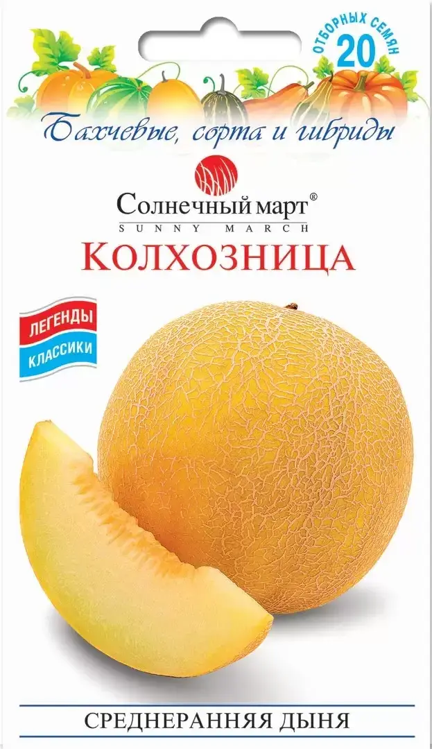 

Колхозница Дыня