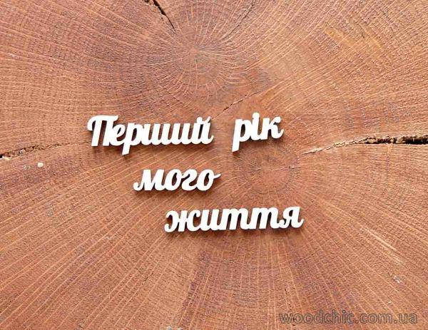 

Чипборд "Перший рiк мого життя"