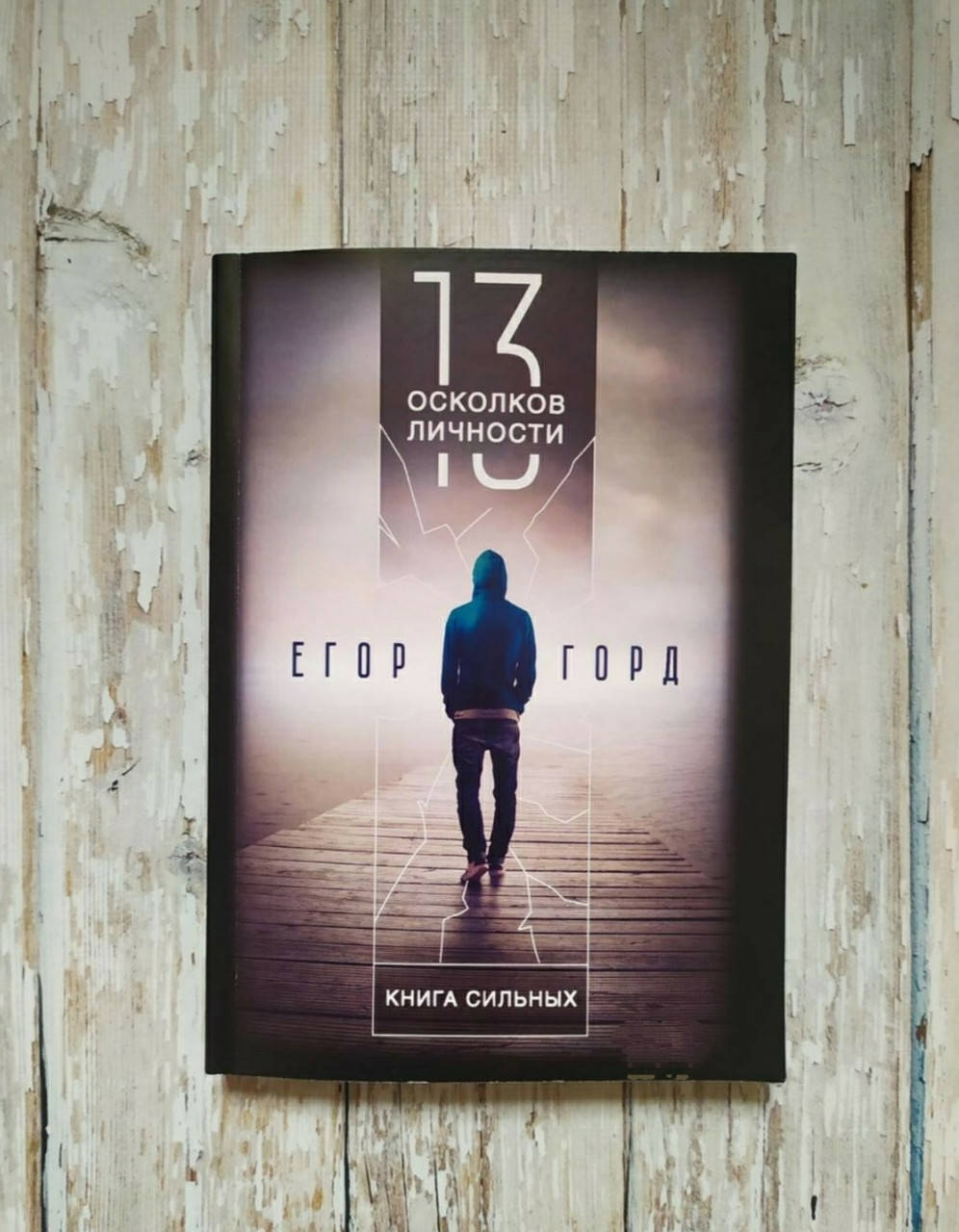 

13 осколков личности. Книга сильных. Егор Горд