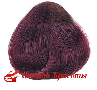 

Крем-краска для волос 4.62 Black Professional Lambrusco Color-Cream Sintesis 100 мл