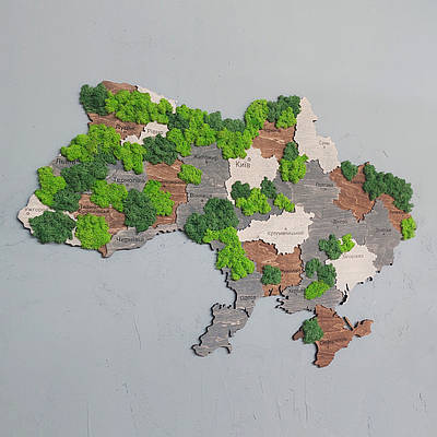 Мапа України на стіну з тонованої фанери і мохом 100х60 см