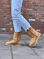 Угги Женские Ugg Classic Short II Chestnut класик высокие прошиты замша хутро коричневые овчина