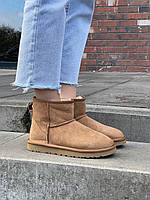 Угги Женские Ugg Classic Mini Chestnut Suede мини прошиты замша хутро корчневый овчина