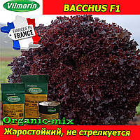 Салат БАХУС F1, ТМ Vilmorin (Франція), дразоване насіння, проф. паковання 1000 насіння