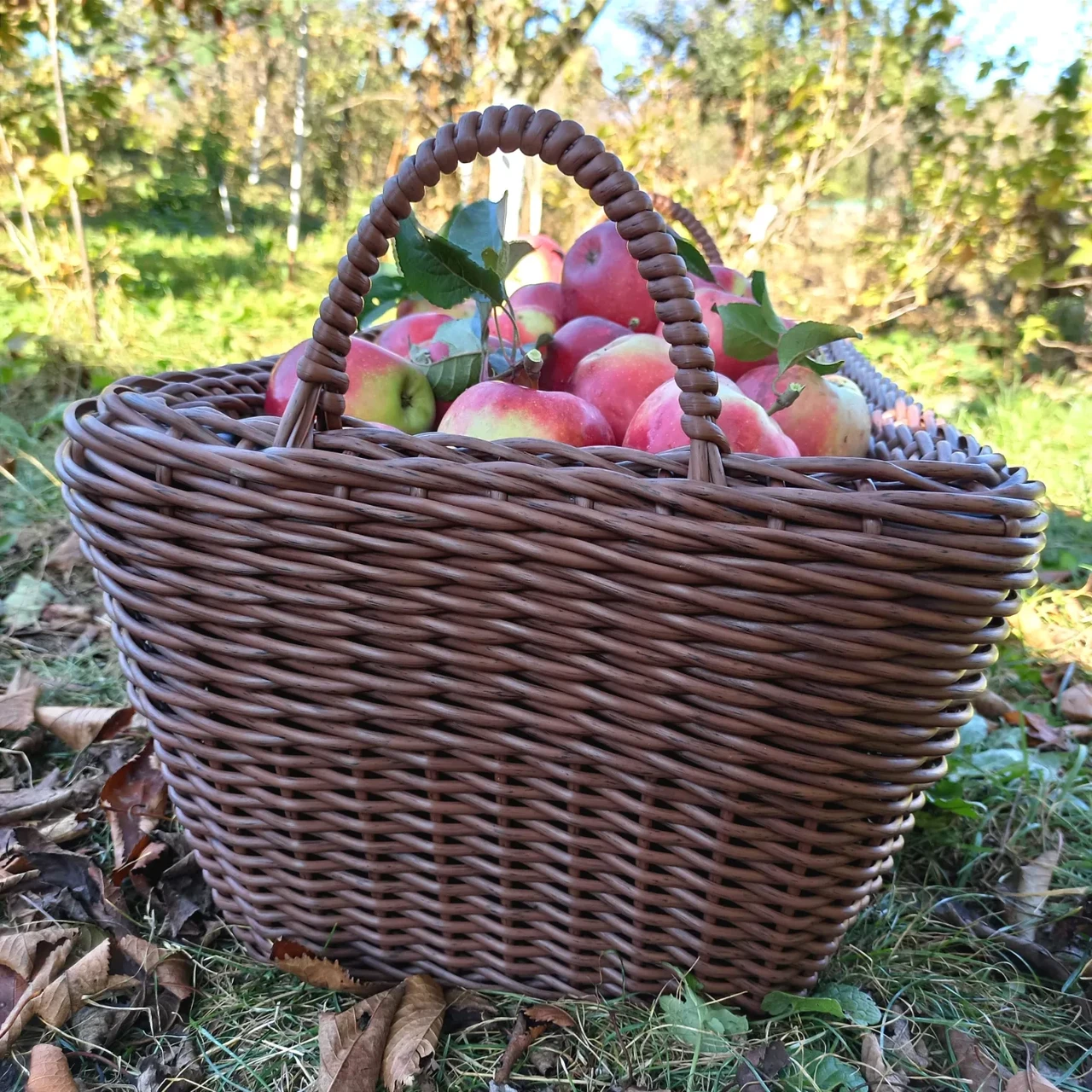 Дровница для камина. Корзина з ручками. Кашпо с ручками. Корзина для вещей. Корзина для дров. - фото 7 - id-p1990316024