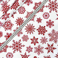 Π€Π»Π°Π½Π΅Π»Ρ "Π‘Π½ΡΠΆΠΈΠ½ΠΊΠΈ ΡΠ΅ΡΠ²ΠΎΠ½Ρ Π½Π° Π±ΡΠ»ΠΎΠΌΡ" 240 ΡΠΌ, ΡΠΎΡΠΎ 3