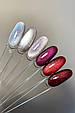 DARK GEL POLISH CAT EYE 05, 10 ML, фото 5