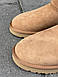 Зимові Жіночі Уггі Ugg Classic Mini Chestnut Suede (Хутро) 36-37-38-40, фото 4