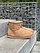 Зимові Жіночі Уггі Ugg Classic Mini Chestnut Suede (Хутро) 36-37-38-40, фото 8