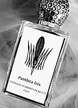 Stephane Humbert Lucas 777 Panthea Iris Парфумована вода унісекс, 2 мл Пробник, фото 6