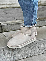 Зимние Женские Угги Ugg Classic Mini Light Grey Suede (Мех) 36-37-38-39-40