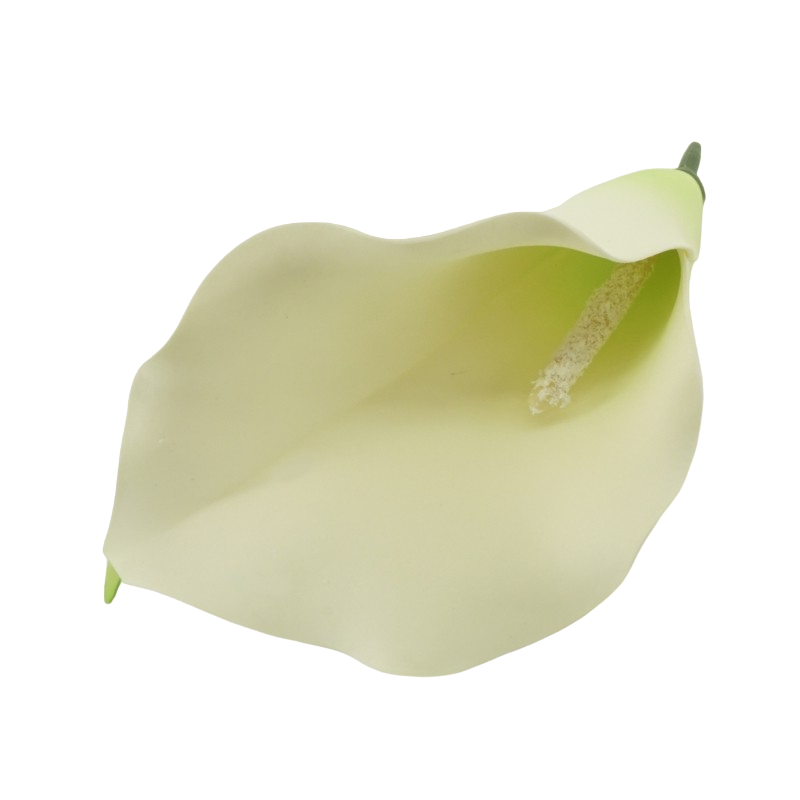 calla_wyrobowa_1_photoroom.png_photoroom.png