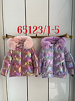 Зимние куртки детские на меху  для девочек  Seagull 1-5 лет оптом CSQ-65123