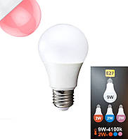 LED лампа EGE LED 9W/2W 4100К+Р