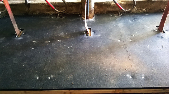 Резиновый мат для коровников Animattress III