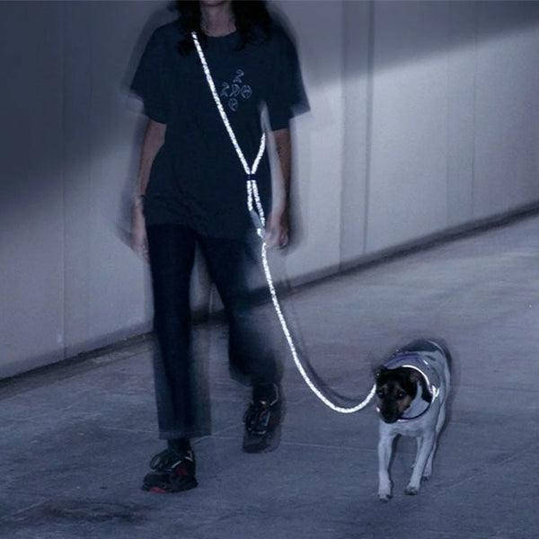 Zee.Dog Nox Hands Free Leash 120 240 Baks Barsik 1955855639