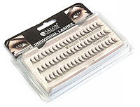 Вії в пучках Salon Individual lashes flare long black Довгі чорні