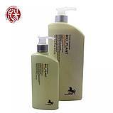 Шампунь для щоденного догляду AKTIVE CHARCOAL CARE Bio Plant, 300 мл, фото 3