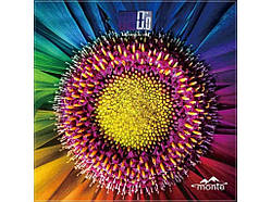 Ваги підлогові 180кг 6011-8 MT ТМ Monte