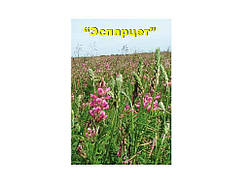 Еспарцет (в мішку) 25кг ТМ СЕМЕНА УКРАИНЫ   Solmir