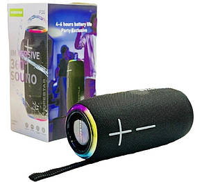 Портативна Bluetooth-колонка Hopestar P35 Black, фото 2