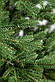 Ялинка лита Альпійська Зелена 2,50м, фото 10