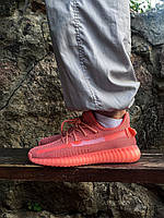 Adidas Yeezy Boost 350 V2 Coral (Рефлективні шнурки) 36