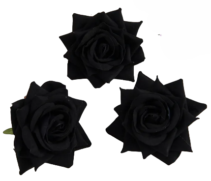 62e934e6_9934_4823_938b_7e82a13a0235.png