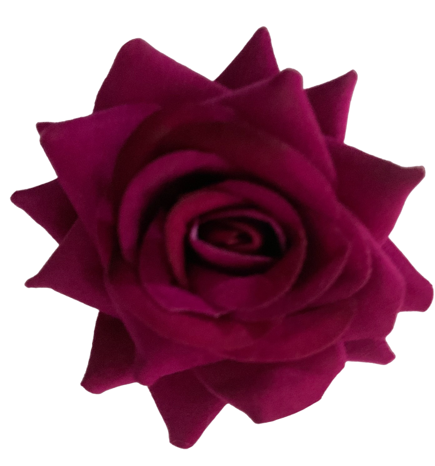 img_5143_photoroom.png_photoroom.png