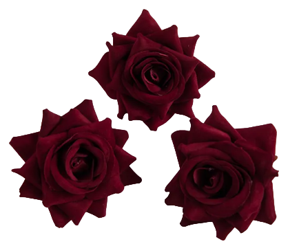 2023_09_28_12_28_30_photoroom.png_photoroom.png