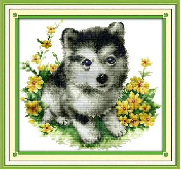 Набір для вишивання за нанесеною на канву схемою "Husky" . AIDA 14CT printed, 33*31 см