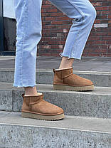 Зимові Жіночі Черевики UGG Classic Ultra Mini Platform Beige / УГГ Класик Ультра Міні Платформа Бежеві, фото 5