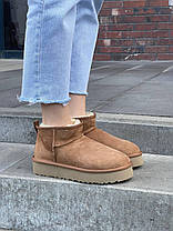 Зимові Жіночі Черевики UGG Classic Ultra Mini Platform Beige / УГГ Класик Ультра Міні Платформа Бежеві, фото 3