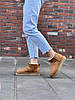 Зимові Жіночі Черевики UGG Classic Ultra Mini Platform Beige / УГГ Класик Ультра Міні Платформа Бежеві, фото 6