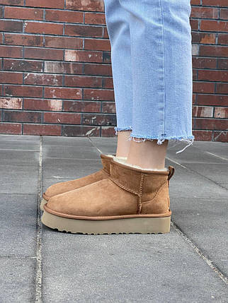 Зимові Жіночі Черевики UGG Classic Ultra Mini Platform Beige / УГГ Класик Ультра Міні Платформа Бежеві, фото 1