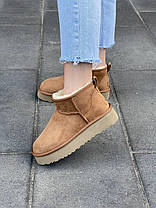 Зимові Жіночі Черевики UGG Classic Ultra Mini Platform Beige / УГГ Класик Ультра Міні Платформа Бежеві, фото 2