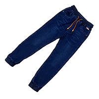 Джогери для хлопців утеплені, Угорщина, Grace, арт. 13419, 140 см