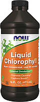 Now Foods Liquid Chlorophyll 473 ml смак м'яти