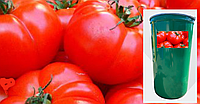 Паста томатная Полуфабрикат 25-27 Вrix, кислотность 2.0-5.0 %, бочка 239 кг