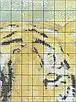 Набір для вишивання за нанесеною на канву схемою  "A tiger in water". AIDA 14CT printed, 43*38 см, фото 4