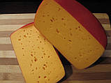 Барвник АННАТО для сирів, натуральний, фото 4