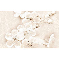 Плитка Cersanit Sofi Inserto Flower декор 25*40