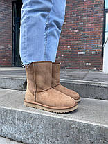 Зимові Жіночі Черевики UGG Classic High II Chestnut Brown / УГГ Класик 2 Високі Чеснат Коричневі, фото 2
