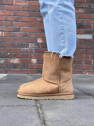 Зимові Жіночі Черевики UGG Classic High II Chestnut Brown / УГГ Класик 2 Високі Чеснат Коричневі, фото 1