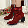 Черевики жіночі замшеві на невисокому каблуці, декоровані ремінцем. Колір бордо, фото 3