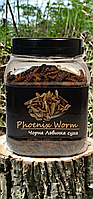 Чорна Львинка "Phoenix Worm". Корм для їжаків, птахів, гризунів, рептилій. 450 мл/120г ТМ " Буся "