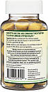 Кверцетин і цинк Double Wood Supplements Quercetin + Zinc Gummies 60 Gummies, фото 4