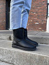 Зимові Жіночі Черевики UGG Classic High Zip Black / УГГ Класік Хай Зіп Чорні, фото 2