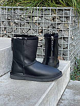 Зимові Жіночі Черевики UGG Classic High Zip Black / УГГ Класік Хай Зіп Чорні, фото 5
